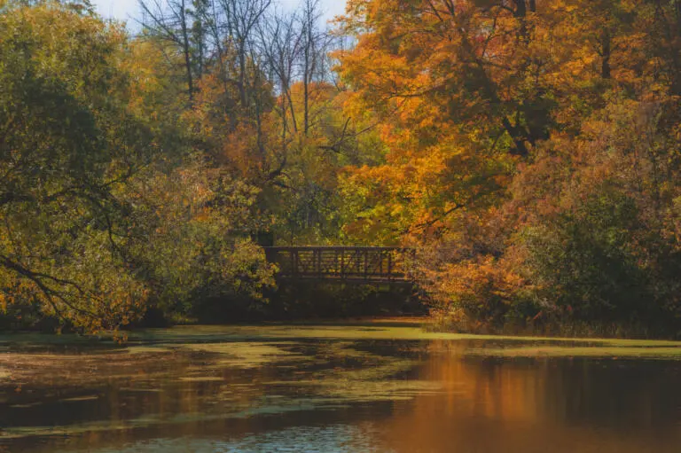 Four Places to See Fall Colours in the Greenbelt
