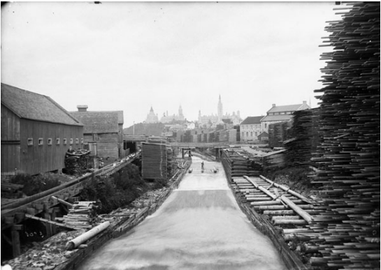 Photo historique montrant des empilements de bois du côté sud de l’île Victoria.