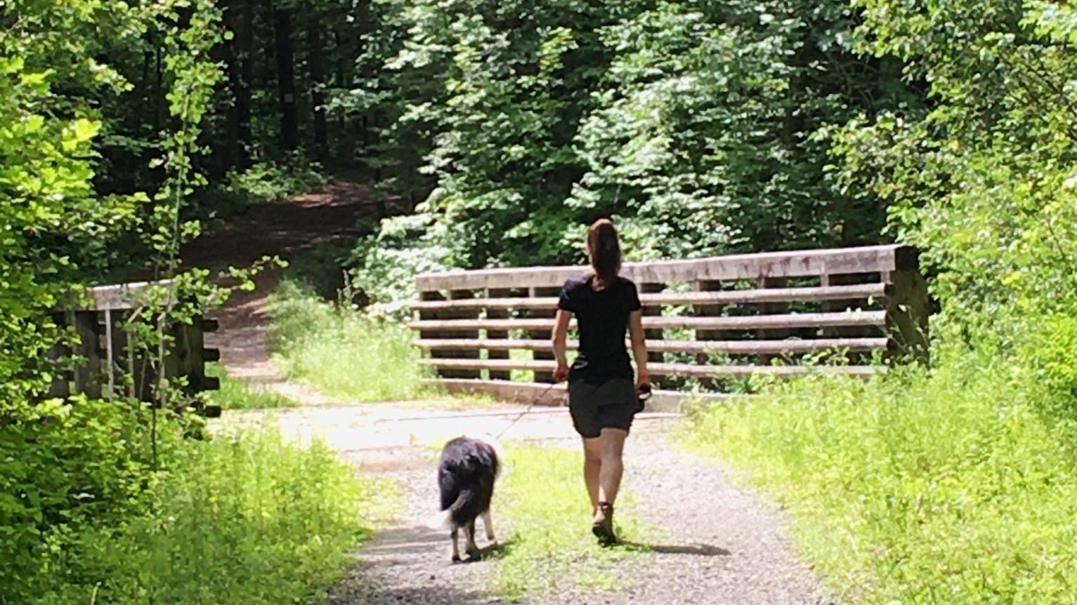 A girl and a leashed dog on a Gatineau Park trail