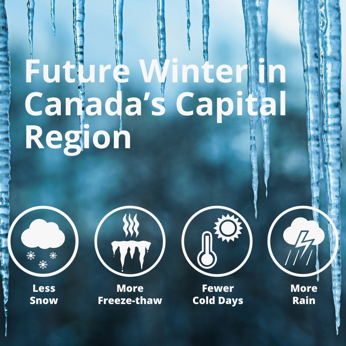 A 2020 study concluded that, by the 2050s, under a high-emission scenario, we can expect to see many changes in the region.