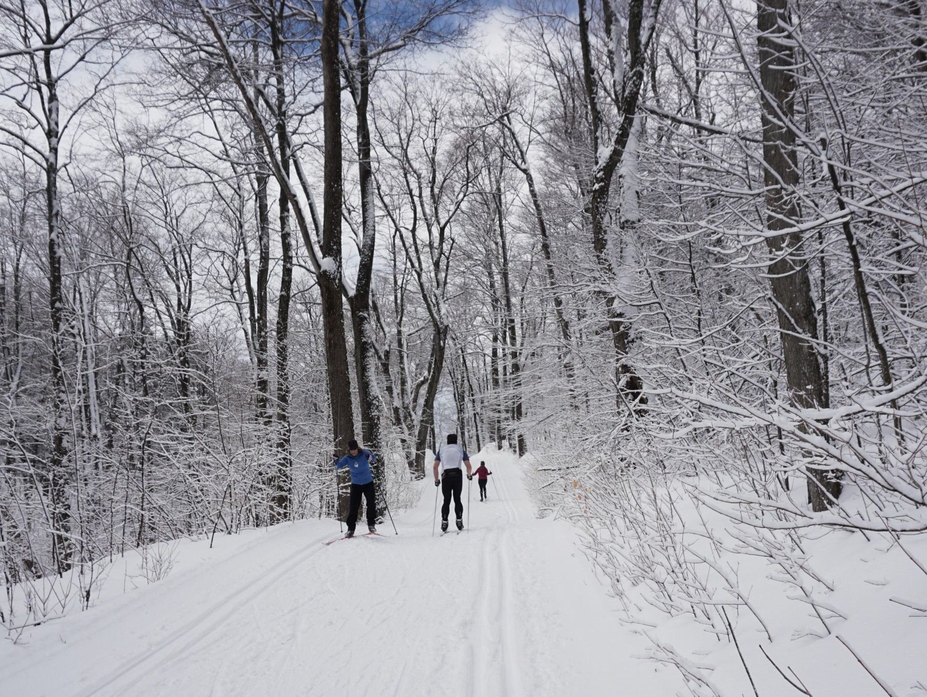 Des gens qui font du ski de fond