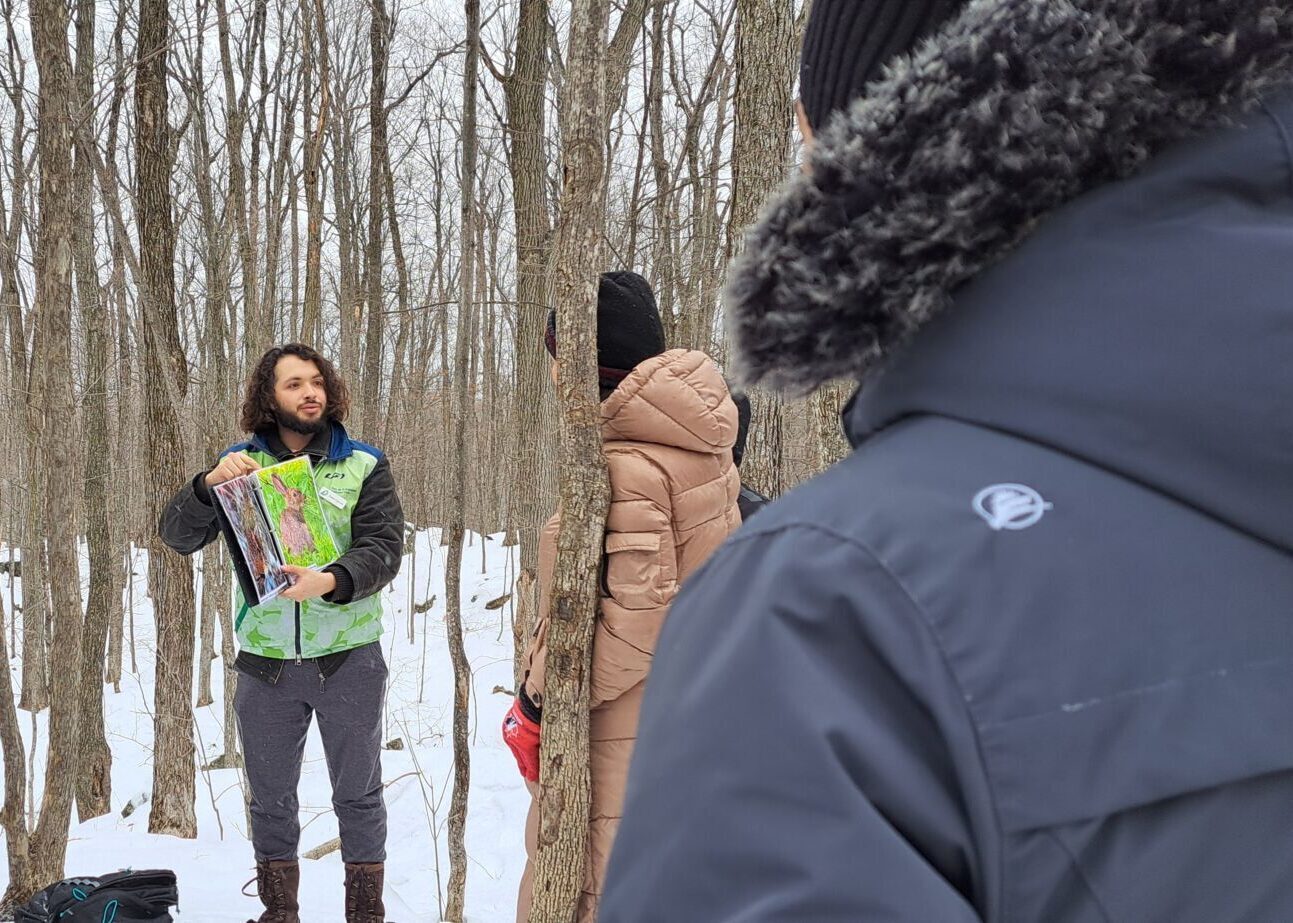 Interpret presenting wildlife to newcomers
