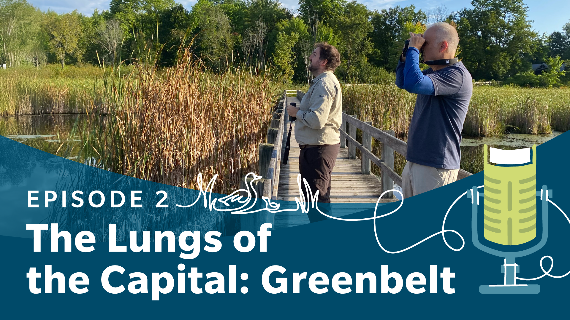 The NCC is the proud steward of the Greenbelt, a 20,000-hectare horseshoe-shaped green space south of Ottawa’s urban core. The Greenbelt was created in the 1950s to protect the rural land bordering the Capital from urban sprawl. Today, it protects natural areas like forests, wetlands, streams and sand dunes. It also sustains biodiversity and brings many benefits to the community. In this episode, Tobi and his guest meet at Mer Bleue to talk about the challenges and the importance of the Greenbelt.