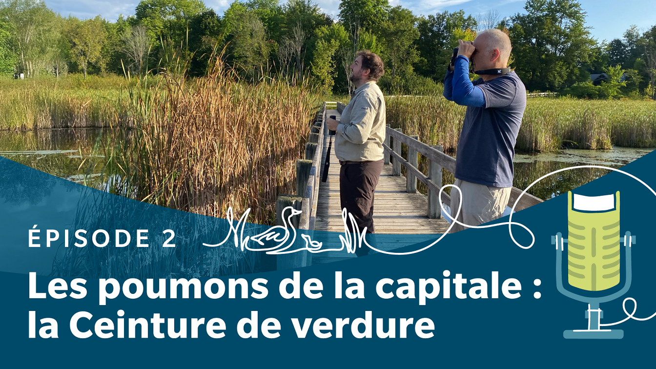Texte « Les poumons de la capitale : la Ceinture de verdure », en superposition d’une photo de Alexander Stone en discussion amicale avec Tobi Nussbaum.