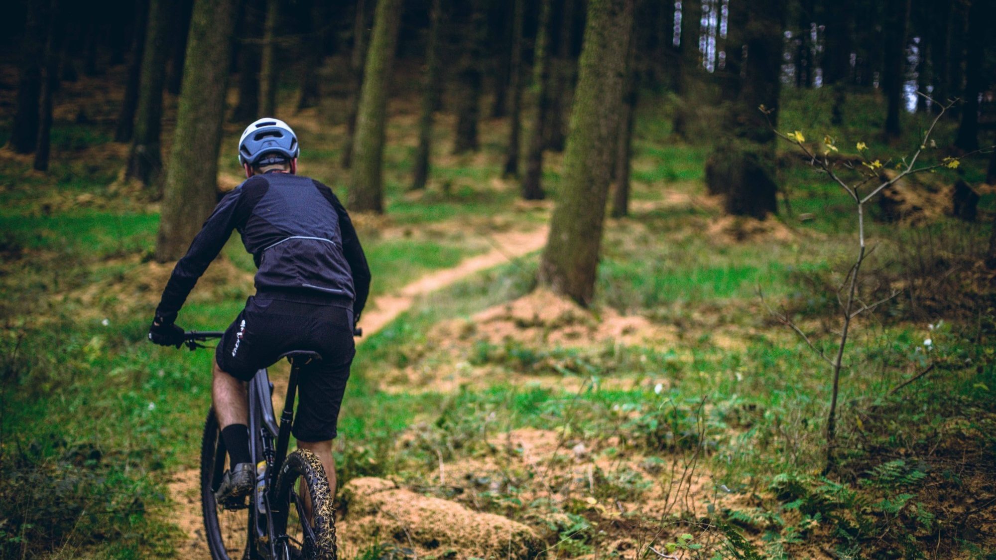 Mountain biking in Gatineau Park.