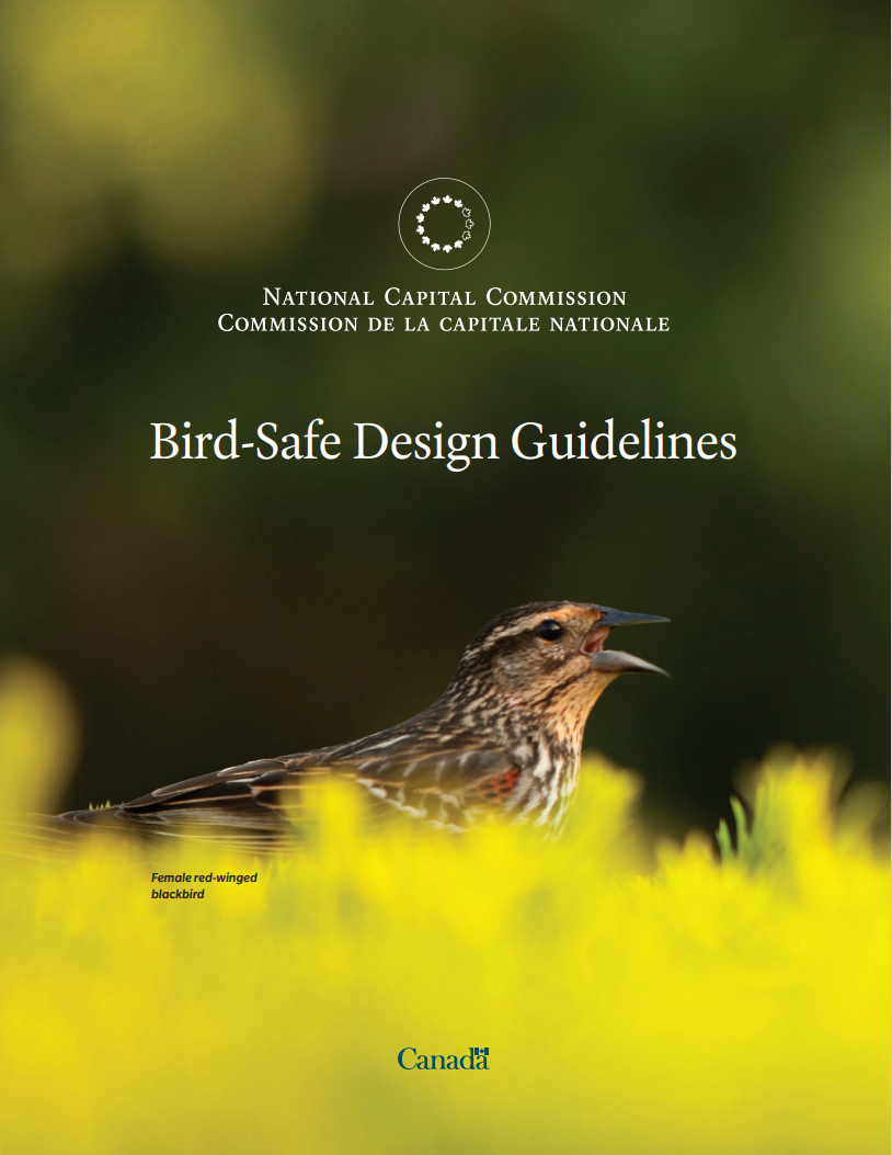 Bird-safe design guidelines cover page