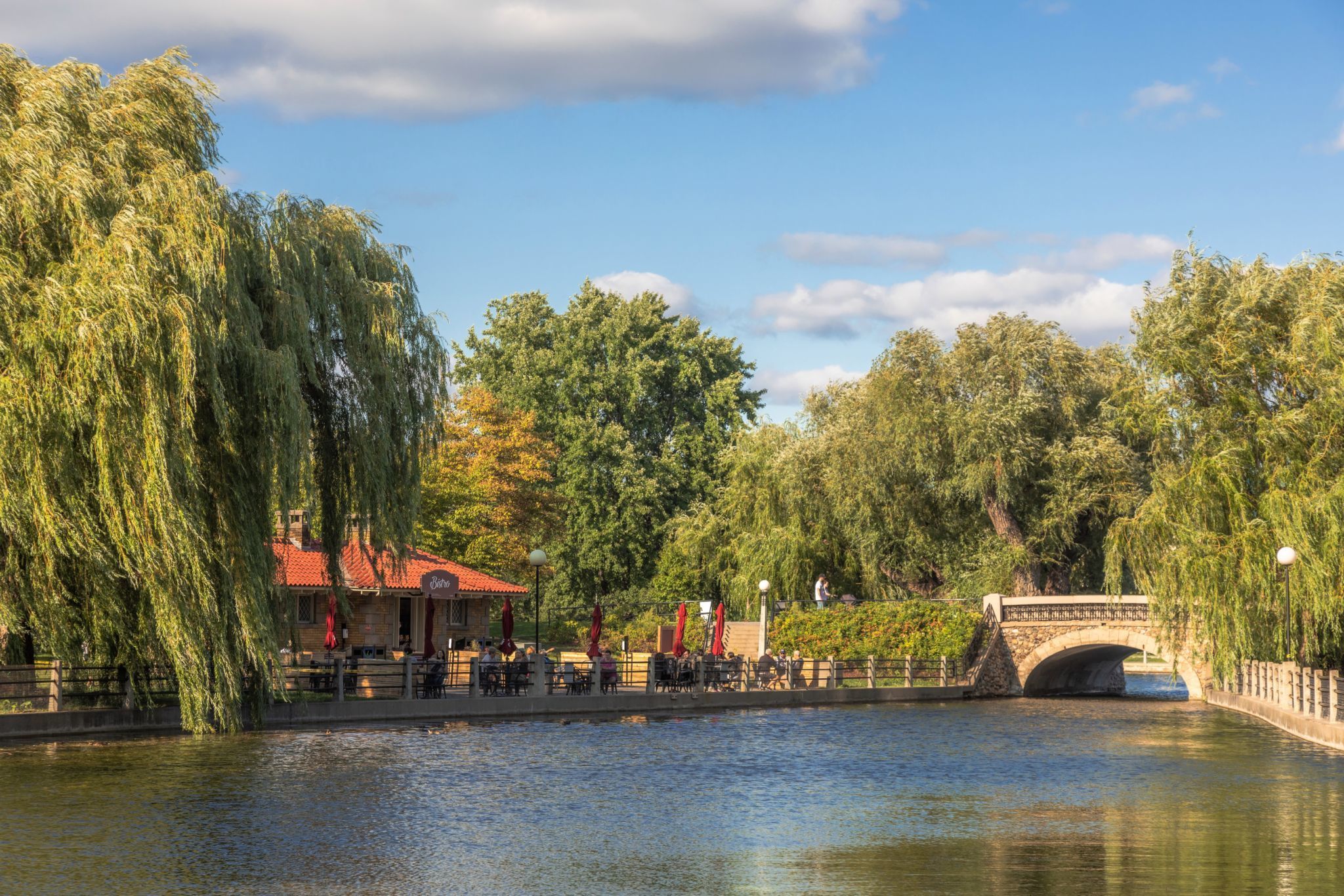 Vue du ruisseau Patterson en été.