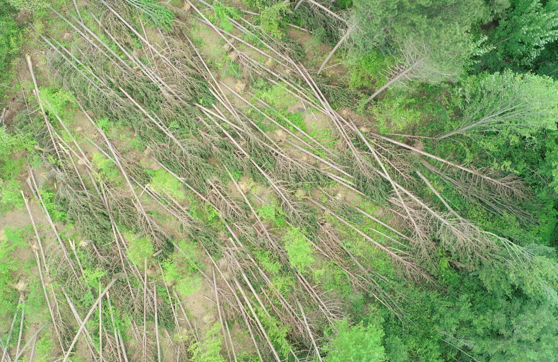 Vue aérienne des dommages suivant la tempête derecho de mai 2022.