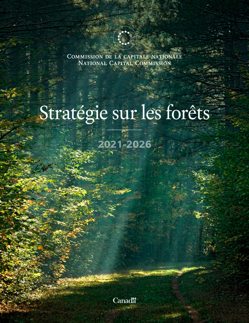 Page couverture de la Stratégie sur les forêts