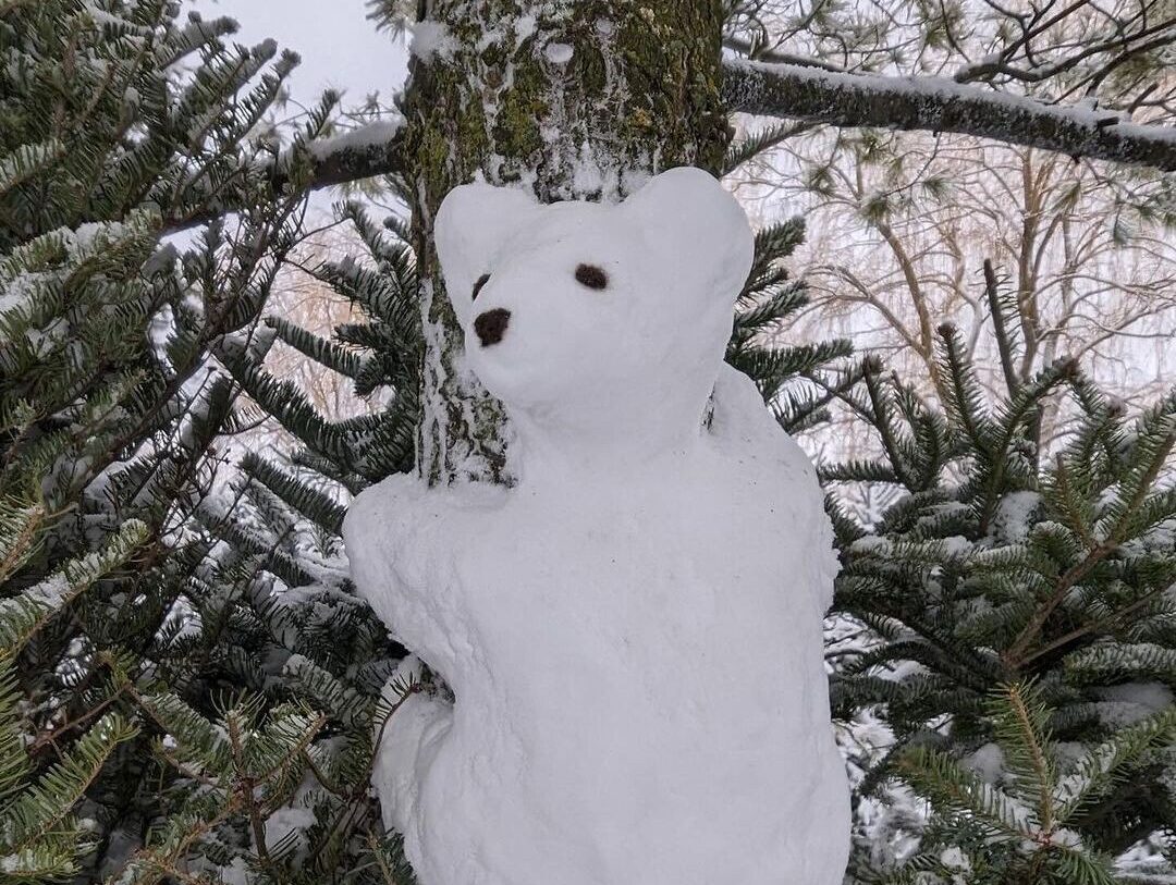 Un ours des neiges, fabriqué par la « dame aux ours », Maggie  Glossop.