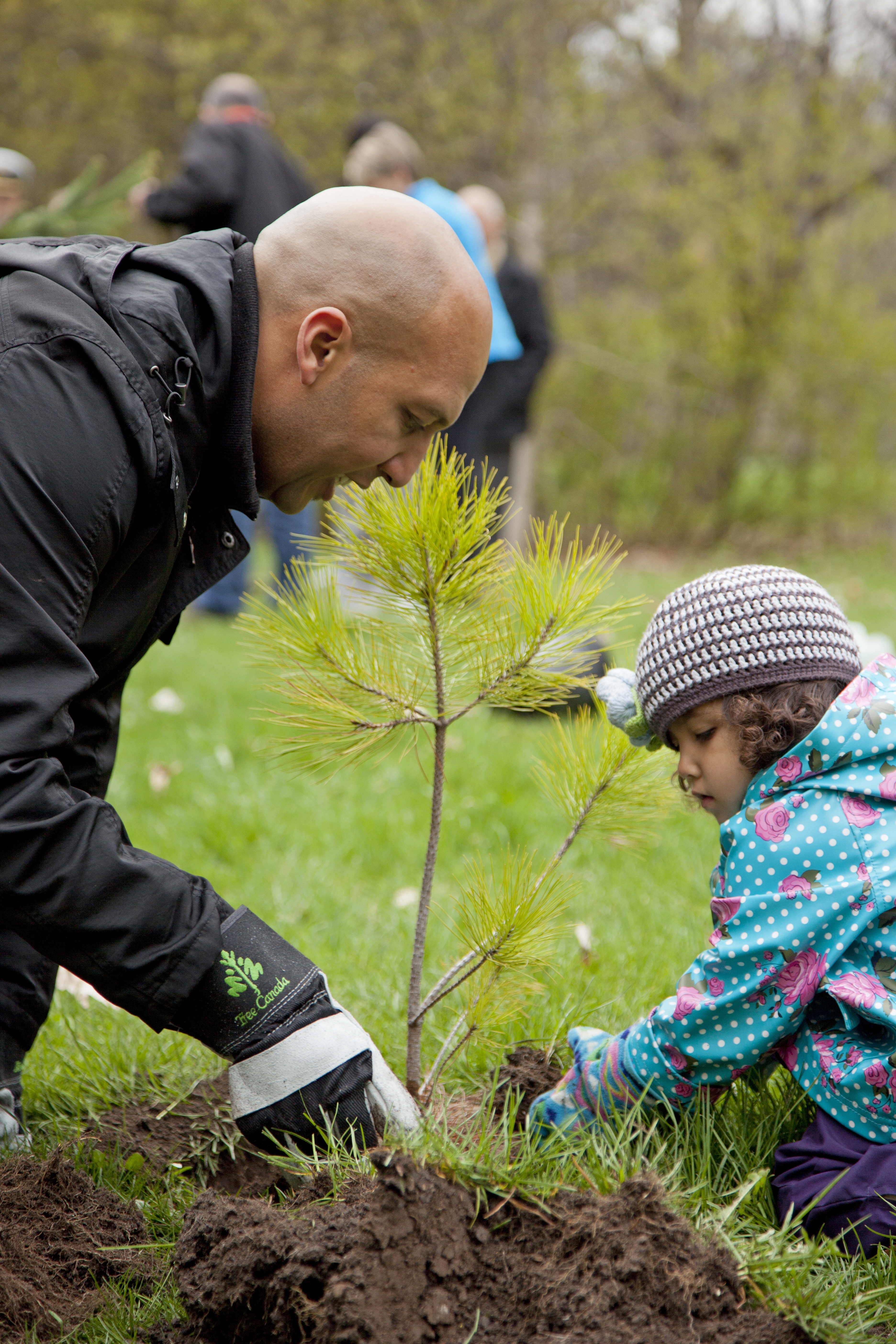 Adult and child planting a small tree