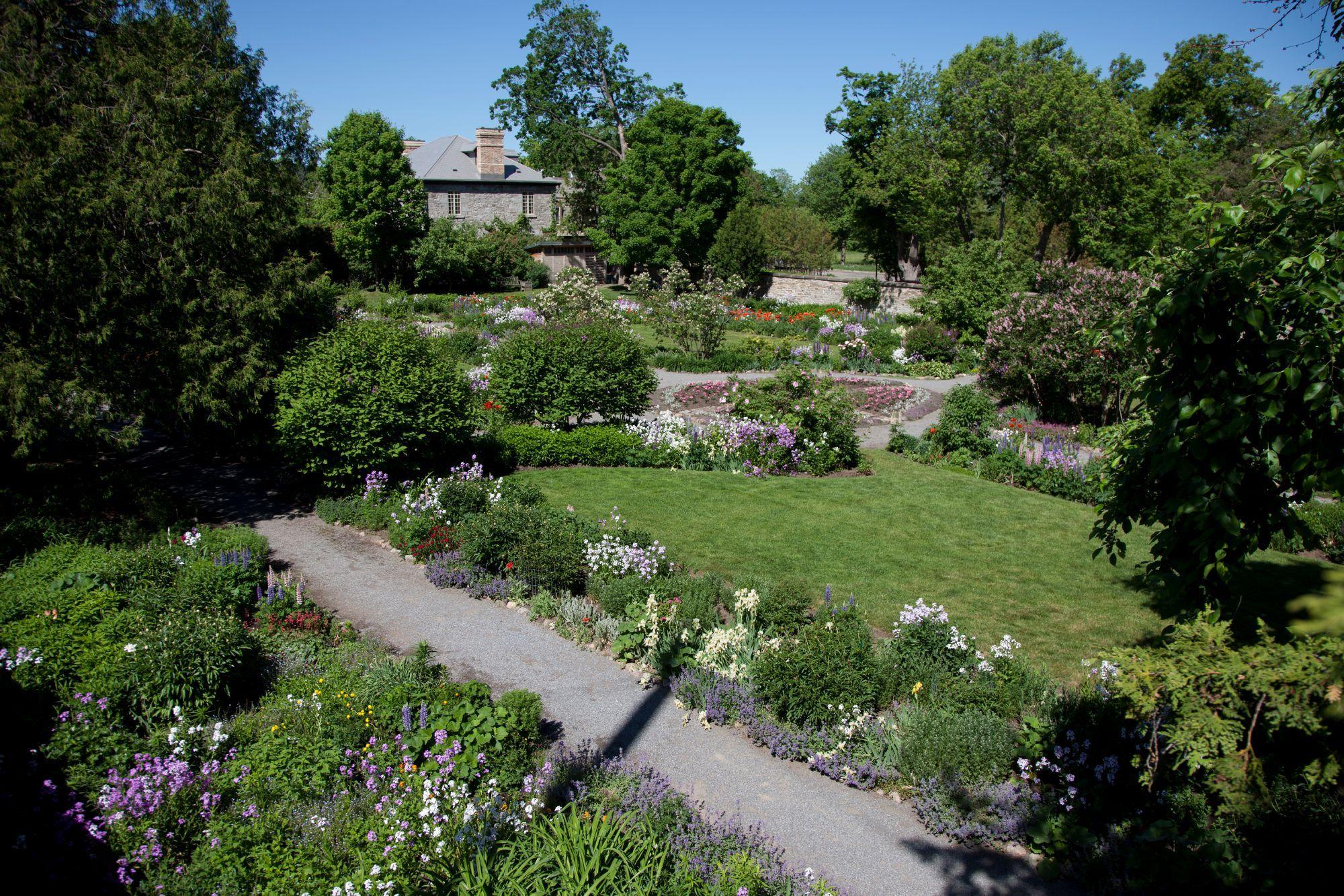 Le jardin de Maplelawn en été.