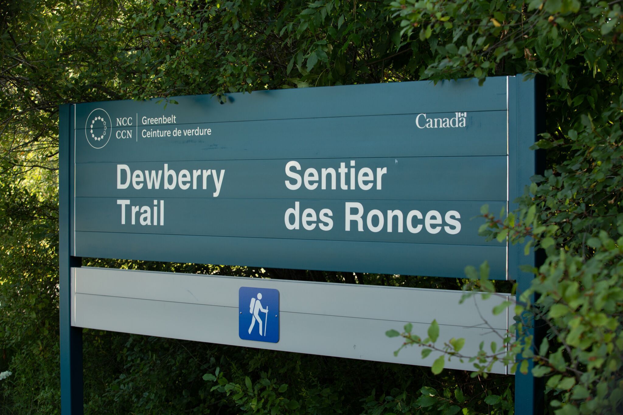 Affiche indiquant le sentier des Ronces