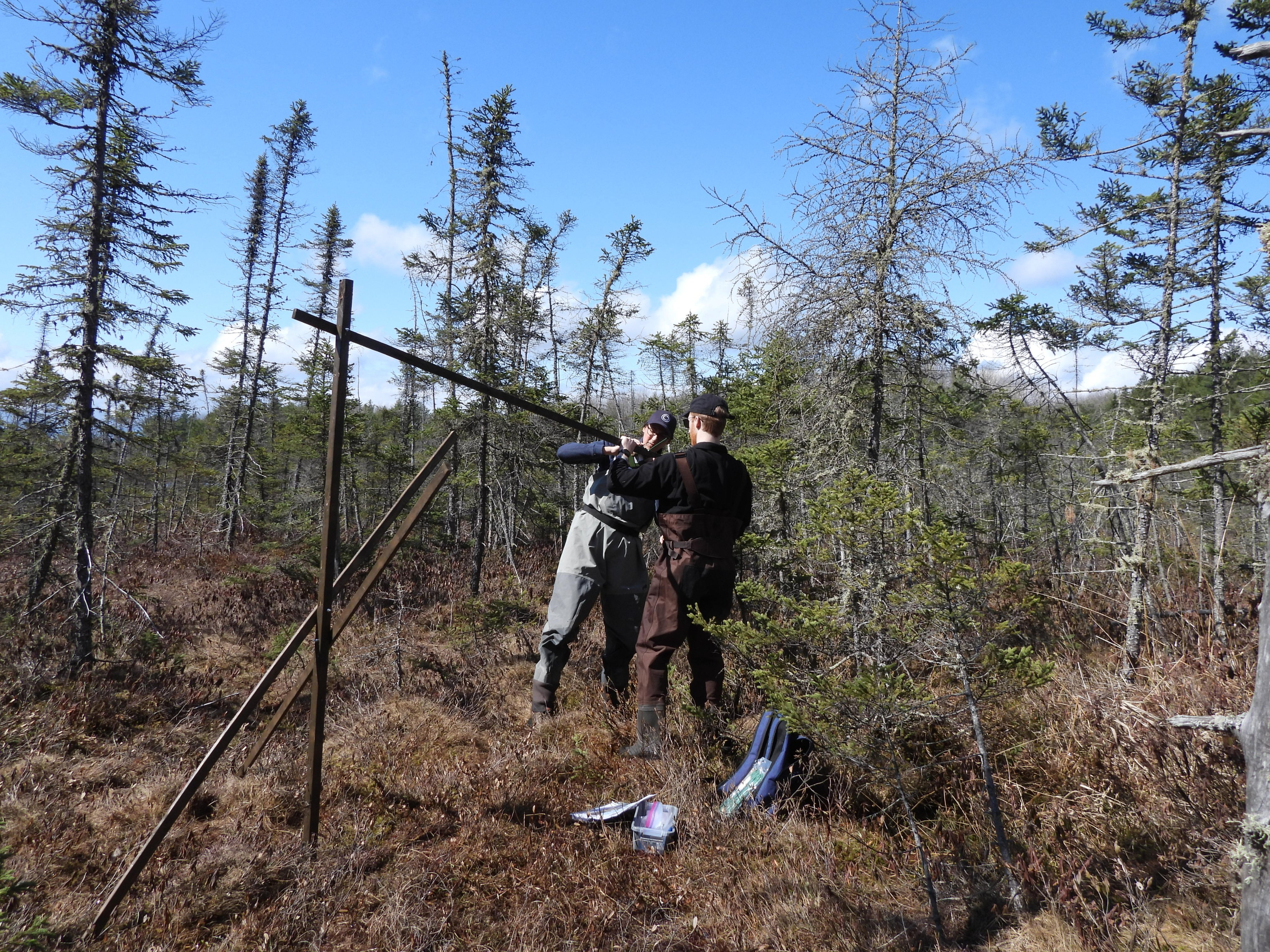 Two people installing a wooden structure in a forest.