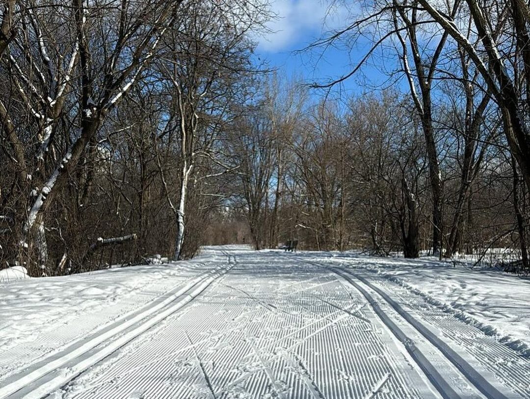 Piste d'hiver Rideau