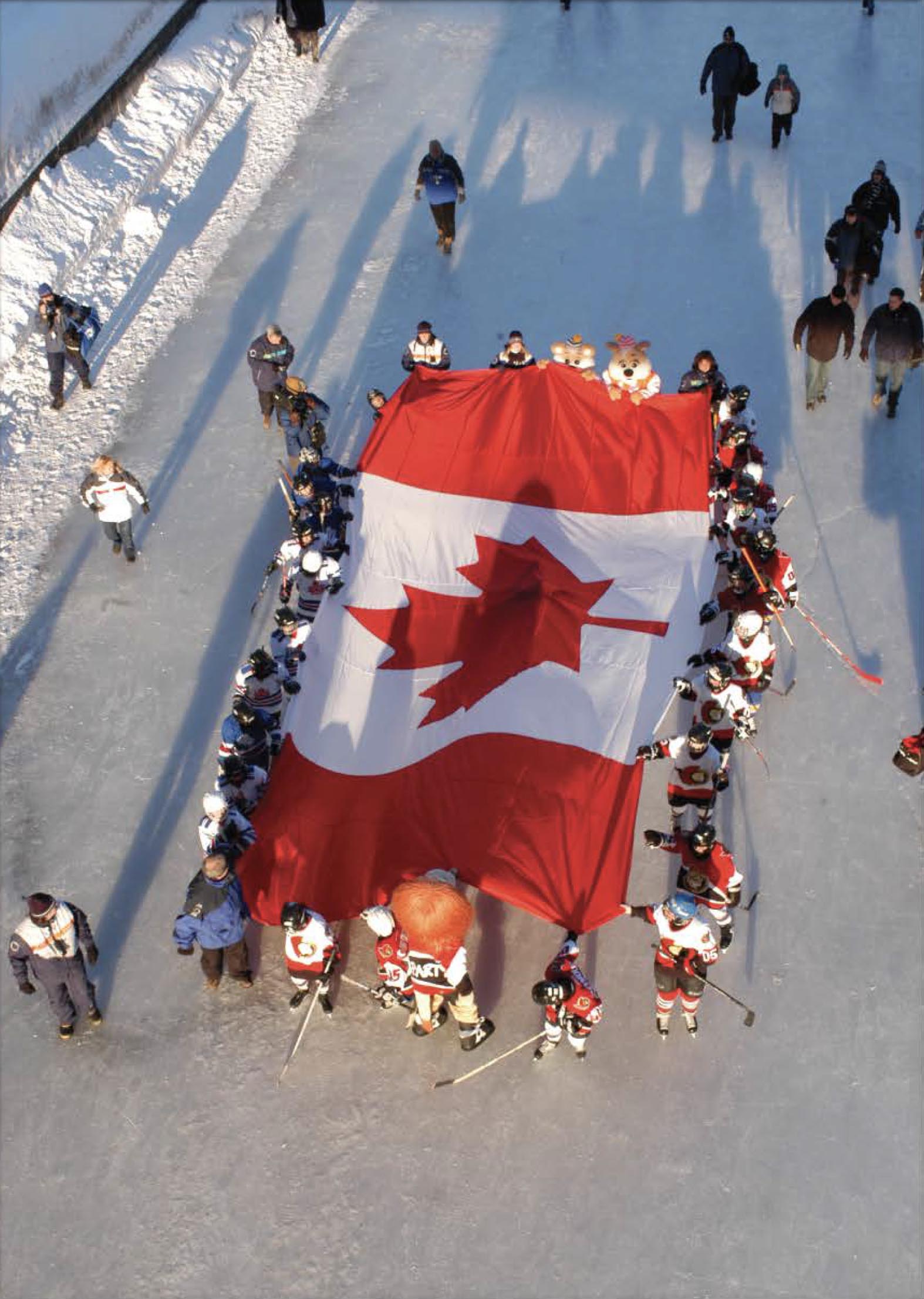 Sens Flag