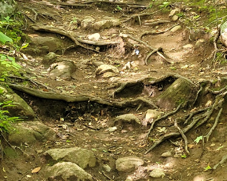 Forte érosion sur l’actuel sentier des Loups.