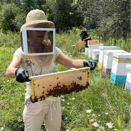 Gees bees