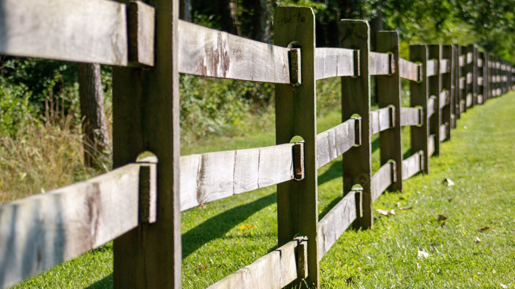 Fences